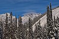 * Nomination: Mount Tupper seen from the Sir Donald Trail. --The Cosmonaut 00:45, 28 October 2024 (UTC) * Review Snow is an unusual colour. WB needs adjustment? --Tagooty 02:45, 28 October 2024 (UTC)