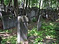 Graves at Okopowa Street Jewish Cemetery in Warsaw, Poland.