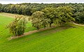 * Nomination: Row of trees in Neusträßer Bruch in the Börnste hamlet in Kirchspiel, Dülmen, North Rhine-Westphalia, Germany --XRay 05:11, 29 October 2024 (UTC) * * Review needed