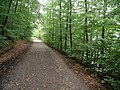 Bij de Heider Bergsee bij Brühl