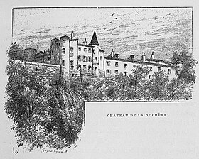 Image illustrative de l’article Château de la Duchère