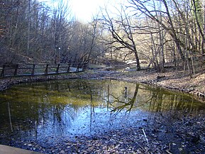 Lacul Verde din Sovata