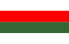 Flag of Piła