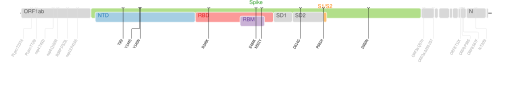 Les mutations du variant Lambda sur une carte génomique du SARS-CoV-2