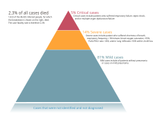 The severity of diagnosed cases in China