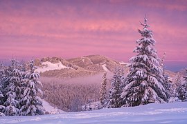 Matin rose d'hiver dans la chaîne de montagnes Gorgany en Ukraine.