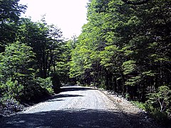 Camino al refugio del volcán Llaima en Parque Nacional Conguillio (febrero 2011) - panoramio (2).jpg