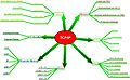 Mapa mental utilizando o programa ConceptDraw MINDMAP Professional.