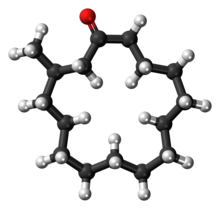 Ball-and-stick model of the muscone molecule