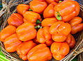 * Nomination Orange bell peppers in a basket.--Jebulon 14:25, 19 August 2013 (UTC) * Promotion Very noisy at the shady areas of the peppers, isn't it? --A.Savin 21:45, 19 August 2013 (UTC)Really ? I don't see very noisy areas. Could you please annotate them in order to help me for correction ? Thanks in advance.--Jebulon 23:58, 19 August 2013 (UTC)OK, I've seen and understood now. Uploaded a new denoised version. Better ?--Jebulon 00:33, 20 August 2013 (UTC) Imo yes, enough for QI.  Support --A.Savin 09:15, 20 August 2013 (UTC)