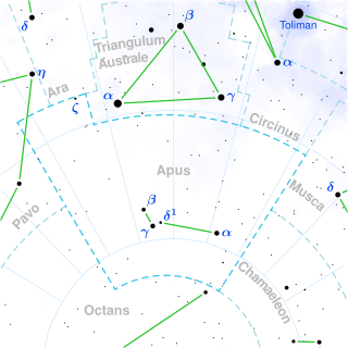 File:Apus constellation map.svg