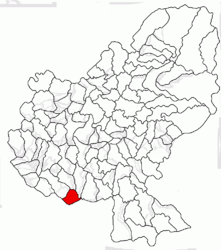 Location in Mureș County