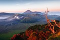 Caldeira du Tengger au lever du jour.