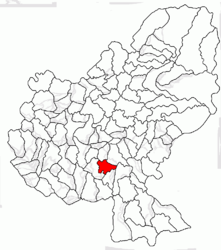 Location in Mureș County