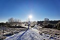 Ellerndorfer Wacholderheide im Winter