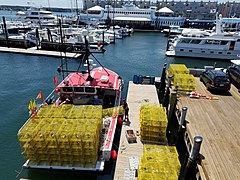 Lobster boat in marina.jpg