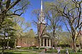 Bustling Harvard Yard