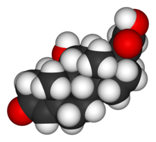 Kortisoli