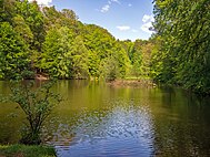 Blick auf den Karlsbergweiher