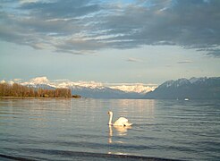 jezero kod Lausanne