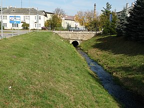 Raišupis Lazdijų miesto centre