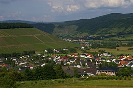 Weinlage Ayler Kupp mit Schodener Herrenberg im Hintergrund