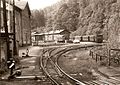 Gleisanlagen der Schmalspurbahn im Bahnhof Wilischthal, Bahnhofsgebäude, Güterschuppen