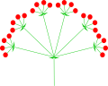 Umbella composita dupla