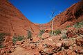 The Valley of The Winds, Kata Tjuta