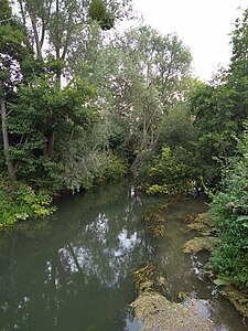 Le bras de l'Epte à Villez, près du vieux lavoir.