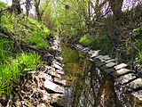 Drosbech op der Cloched'Or a Richtung Süde gekuckt.