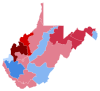 2014 West Virginia Senate Election