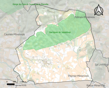 Carte de la ZNIEFF de type 1 sur la commune.