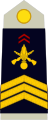 Sergent-chef (French Army)[9]