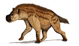 Реконструкция Dinocrocuta gigantea