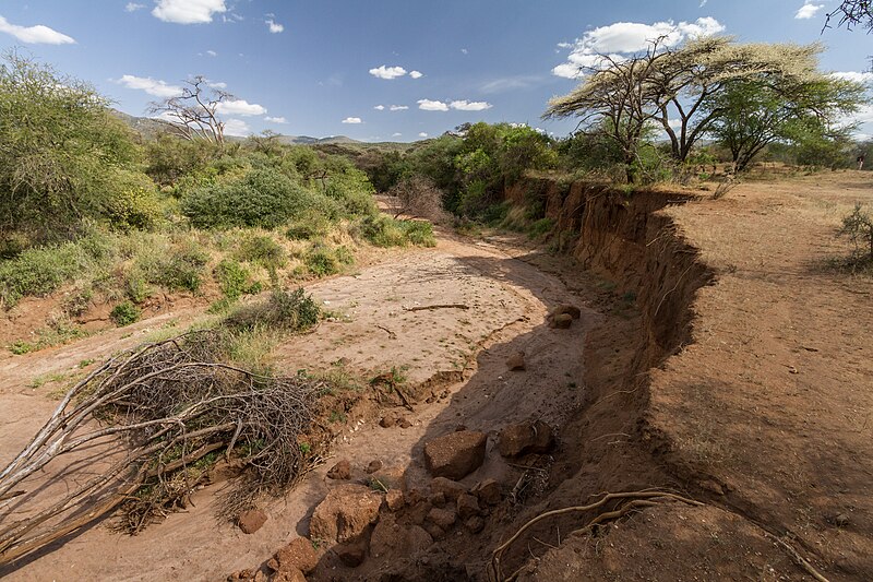 File:Dried riverbed in Masai land (7234180654).jpg