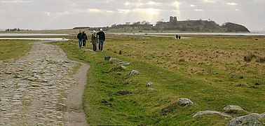 Kalø slottsruin med demningen i forgrunnen