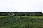 Thumbnail for File:Pasture between Kloster and Grieben on Hiddensee 2021-09-17 08.jpg