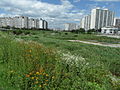 Trails along the Samcheon (river) - 2014.