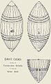 19:53, 25 September 2016 Drift cask, 1898