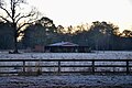 Frost in Bogalusa, Louisiana