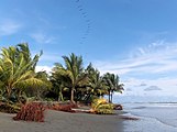 Ladrilleros Beach in Colombia on the coast of Chocó natural region