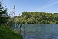 Östlicher Teil der Hammeraue am Rhein