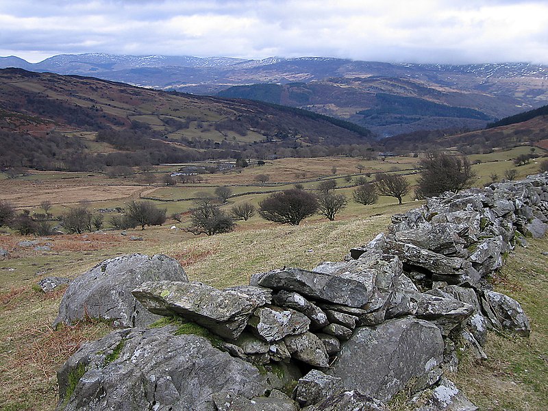 File:Cae Goronwy - geograph.org.uk - 1762551.jpg