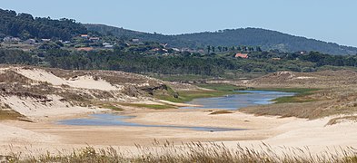 Lagoa de San Pedro de Muro. Xuño. Porto do Son. Galiza -F9.jpg