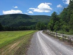 Pine Creek Rail Trail in Watson Township