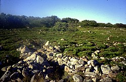 Trojaburchten op Zajatski eiland, Solovetski archipel, Rusland