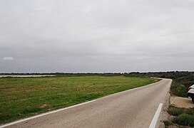 Camino perimetral - panoramio - Allpe.jpg