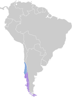 Distribución geográfica del peutrén.