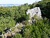 Blick vom Aussichtsturm zum Teufelsfels